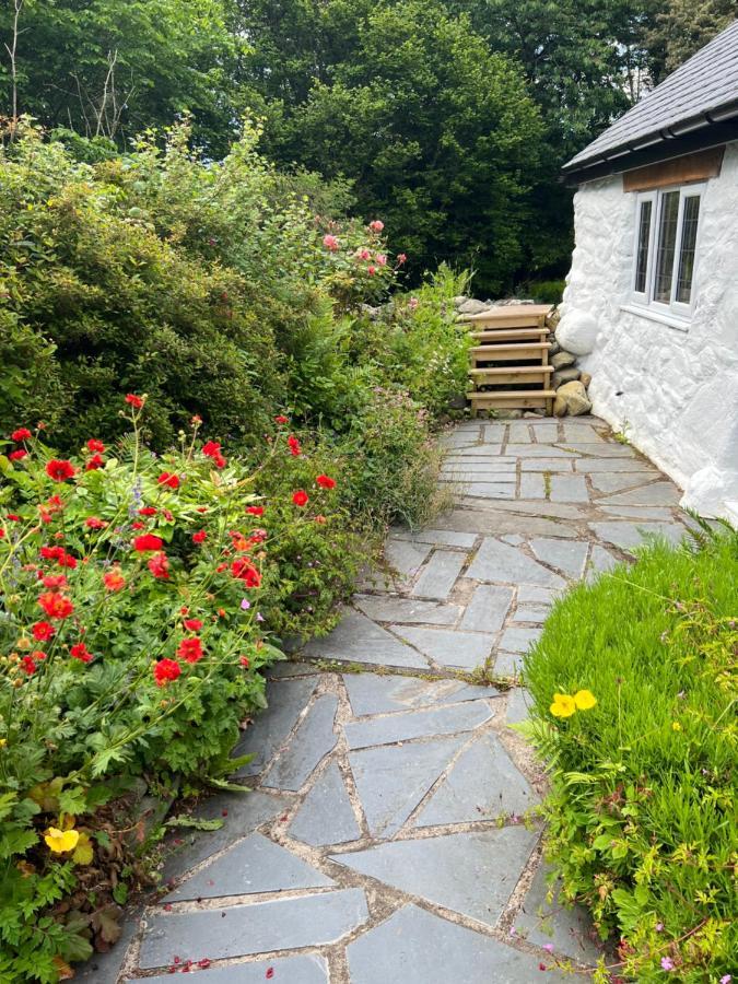Beautiful Ancient Stone Cottage, Local Walks & Pub! Conwy Zewnętrze zdjęcie